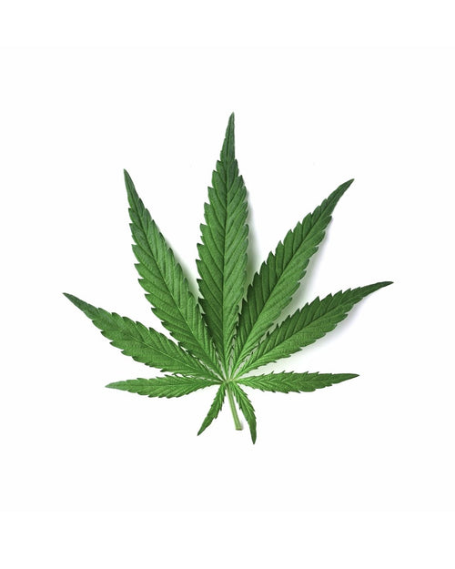 Full-spectrum hemp extract (CBD)