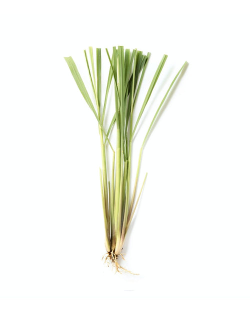 Lemongrass