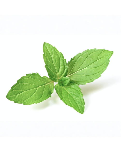Peppermint