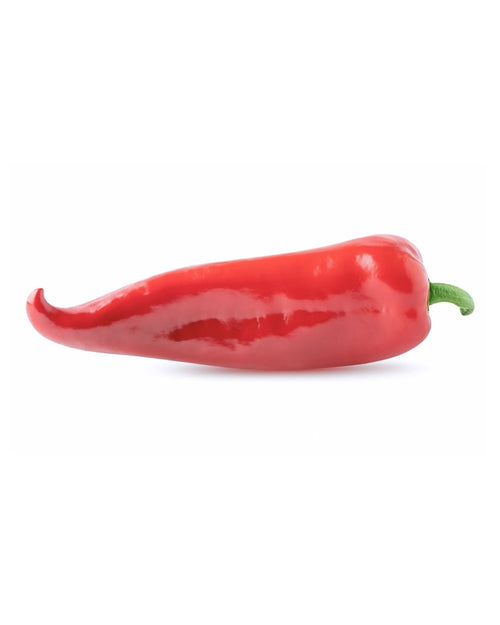 Capsicum